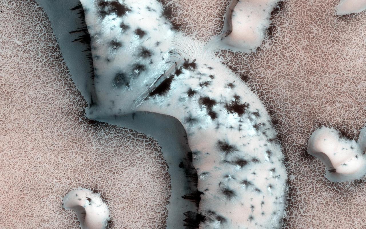 This image shows numerous dark shapes and bright spots on a sand dune in the Northern polar regions of Mars. This observation is from NASA Mars Reconnaissance Orbiter.