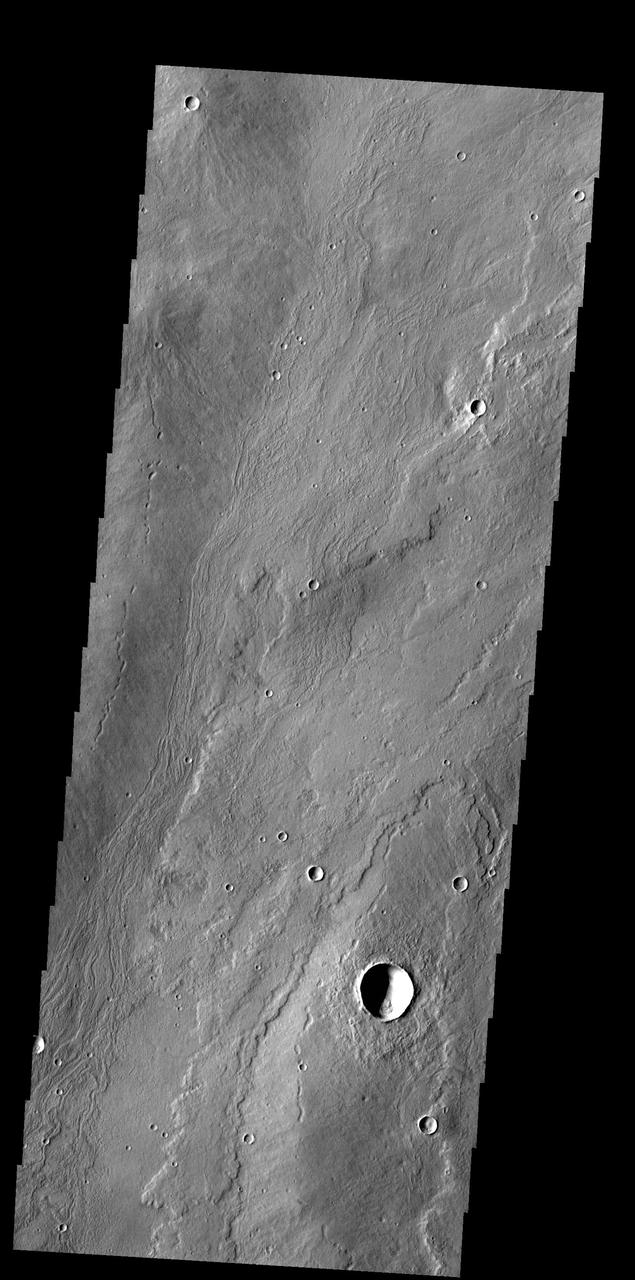 The flows in this image captured by NASA 2001 Mars Odyssey spacecraft originated at Alba Mons.