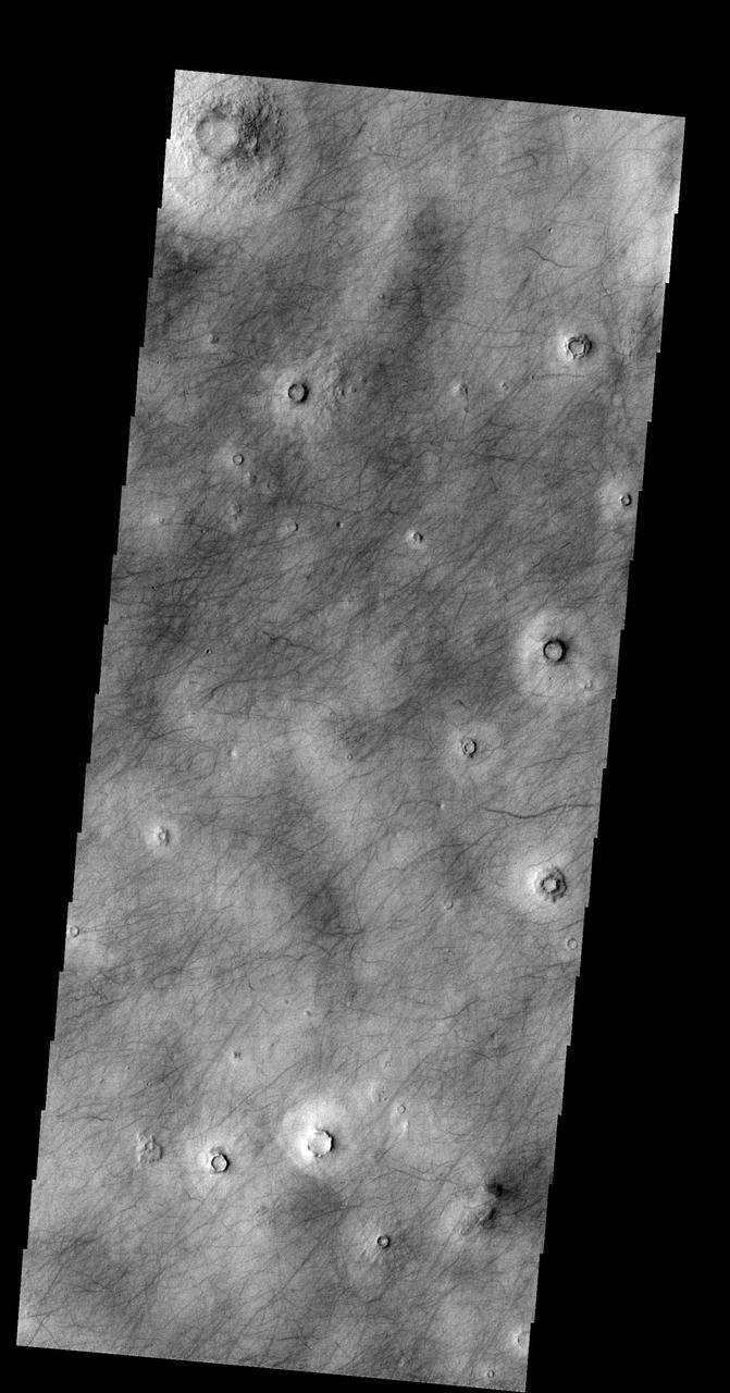 The dark markings in this image from NASA 2001 Mars Odyssey spacecraft are tracks made by the passage of dust devils. Dust devils are common in the extensive plains of the northern latitudes. This image is located in Utopia Planitia.