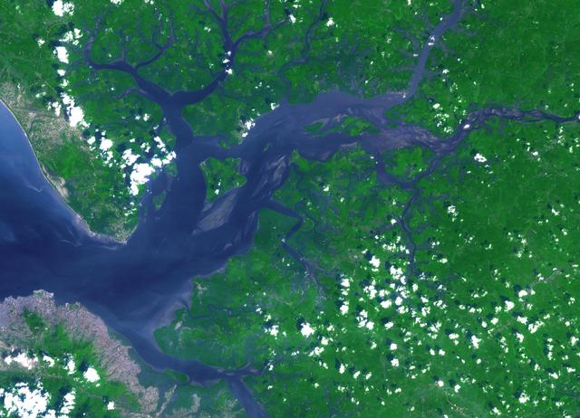 NASA image: Sierra Leone Estuary