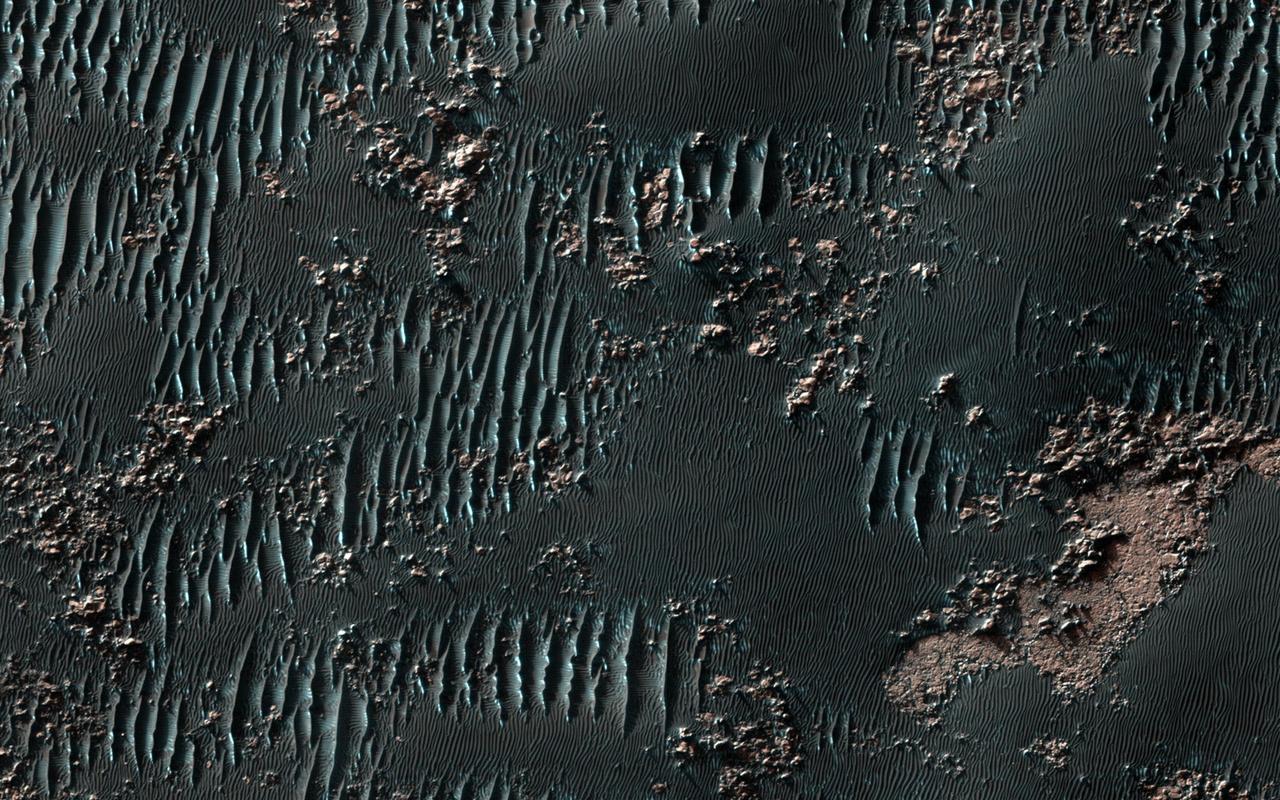 This observation from NASA Mars Reconnaissance Orbiter shows sand dunes in late Northern spring on Mars, mixed with rock outcrops on the floor of a large crater.