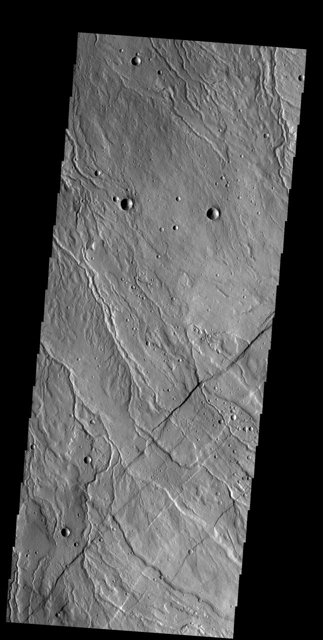 The multiple channels seen in this image captured by NASA 2001 Mars Odyssey spacecraft dissect the northwestern margin of Alba Mons. The channels are called Rubicon Valles.
