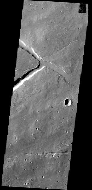 NASA image: Which Came First?