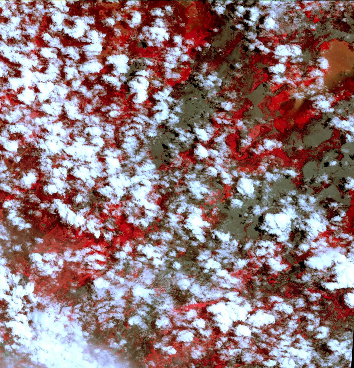 NASA Terra spacecraft shows that extremely heavy seasonal rains have fallen on northern Bolivia since October 2013. The worst affected province is Beni in the northeastern part of the country.