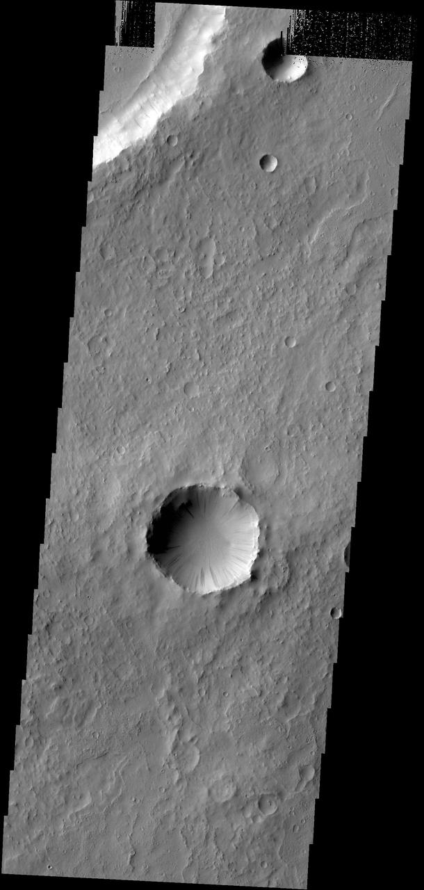 Dark slope streaks are found everywhere on the inner rim of this unnamed crater in Arabia Terra in this image captured by NASA 2001 Mars Odyssey spacecraft.