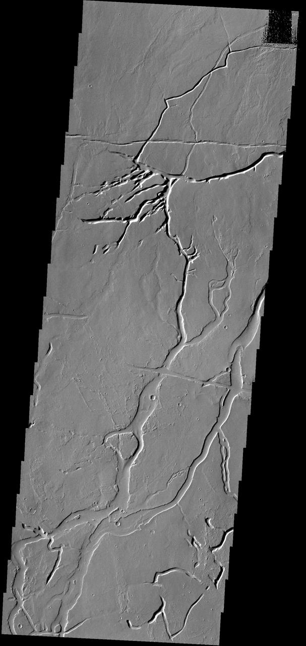 Gordii Fossae