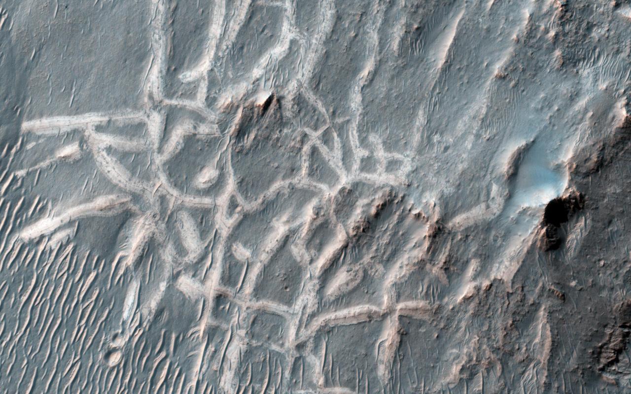This image from NASA Mars Reconnaissance Orbiter captures light-toned ridges found in a large fracture located east of Holden Crater forming a curious box-like pattern.