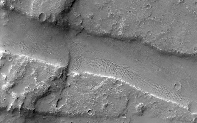 Finding Faults in Melas Chasma