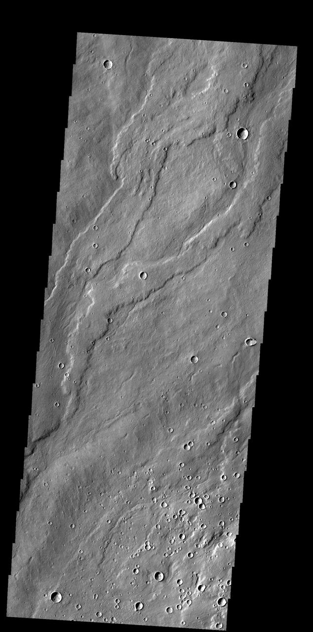 Alba Mons Flows