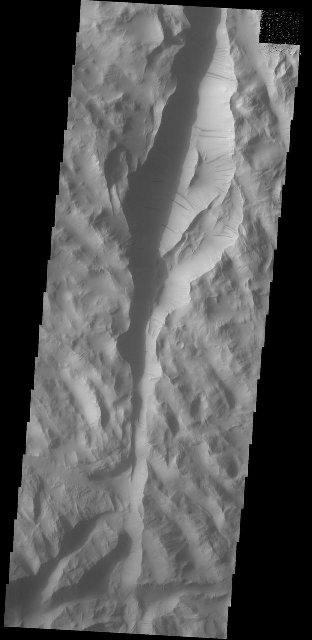 Dark slope streaks are a common feature on the cliff faces of Lycus Sulci as this image from NASA 2001 Mars Odyssey spacecraft shows.