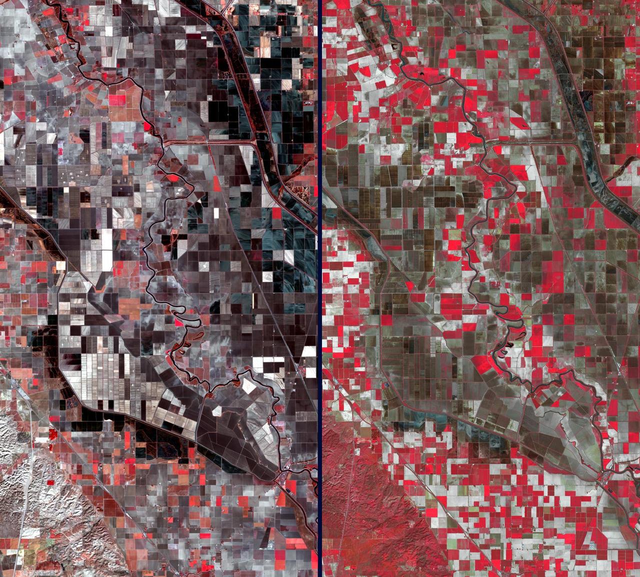 Stark effects of a California drought on agriculture can be clearly seen in these two February images acquired in 2014 and 2003 by NASA Terra spacecraft.