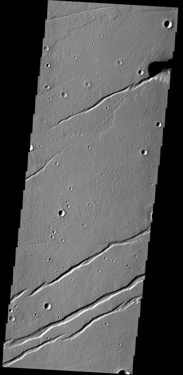 The depressions in this image captured by NASA 2001 Mars Odyssey spacecraft are graben that make up part of Labeatis Fossae.