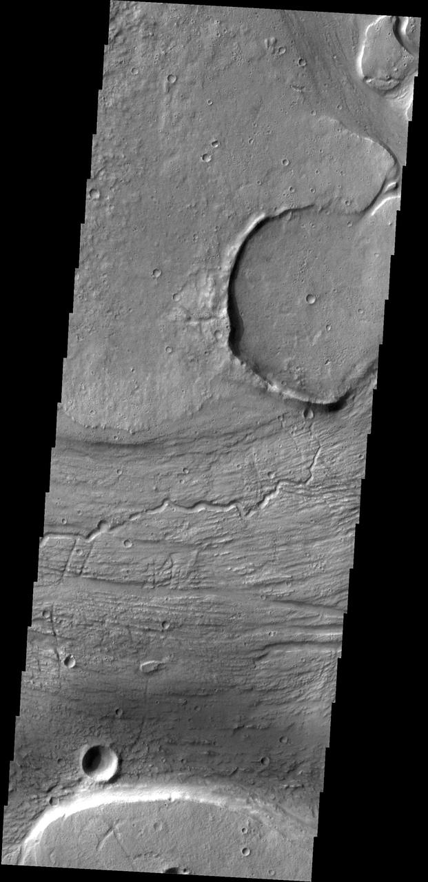 The channels, both large and small, in this image from NASA 2001 Mars Odyssey spacecraft are part of Kasei Valles near its terminus in Chryse Planitia.