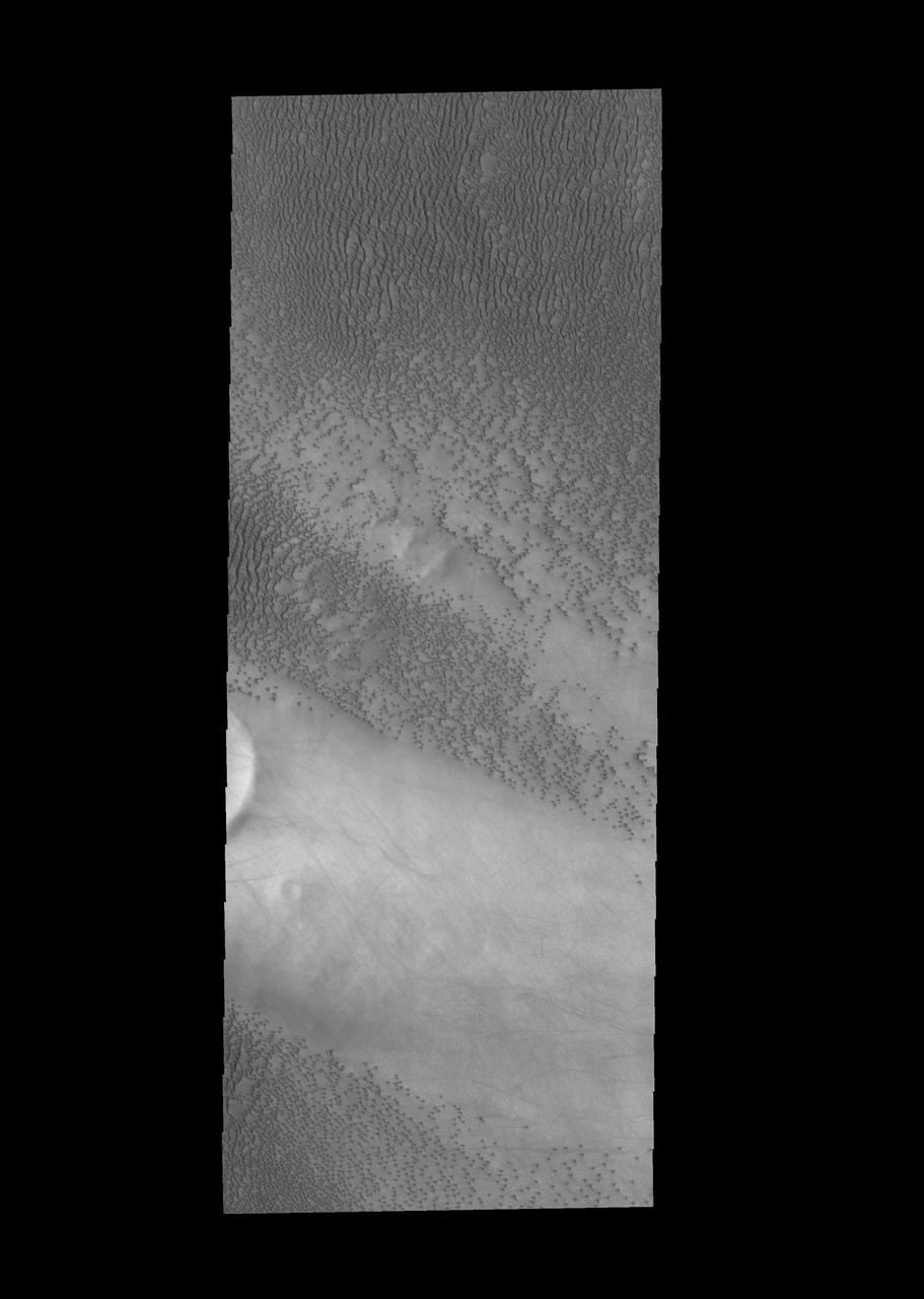 In the lee of this unnamed crater there are no dunes, but numerous dust devil tracks. Dunes surround the crater, except for the lee area, as shown in image from NASA Mars Odyssey spacecraft.