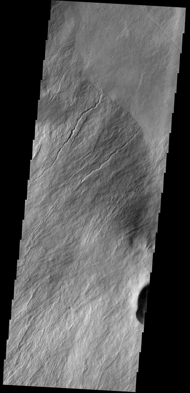 Olympus Rupes