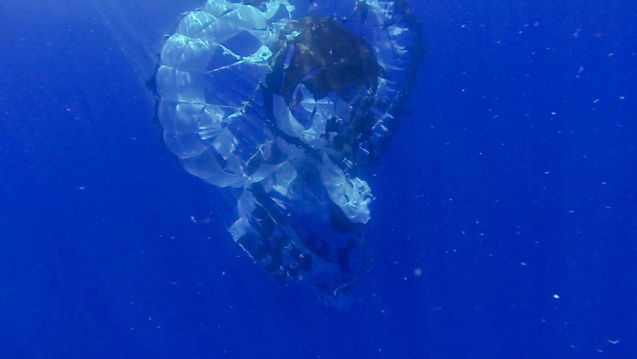 Tears are visible in the parachute from NASA Supersonic Disk Sail Parachute, which did not deploy as expected. The photo was obtained by Navy divers during recovery of the LDSD test vehicle and parachute.