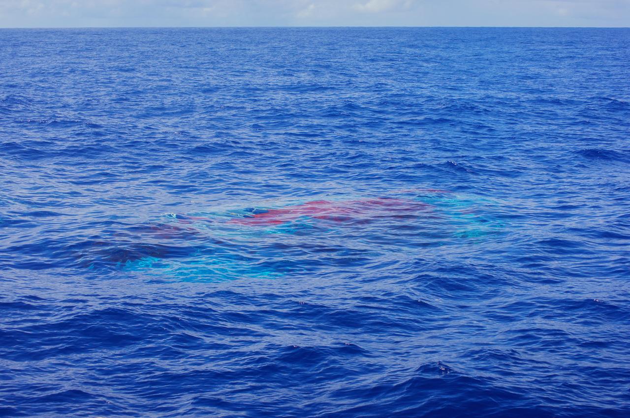 NASA Supersonic Disk Sail Parachute, one of the new technologies being developed as part of NASA Low-Density Supersonic Decelerator LDSD project, floats just below the surface of the Pacific Ocean on June 28, 2014.