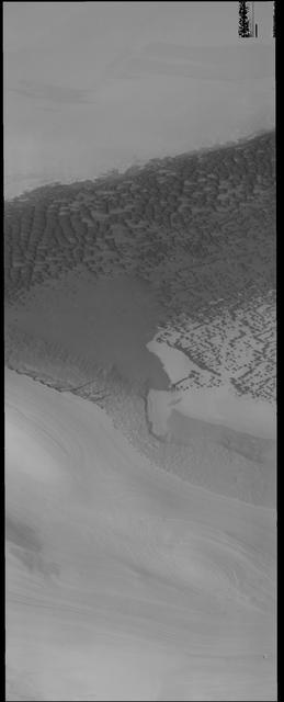 NASA image: Polar Dunes