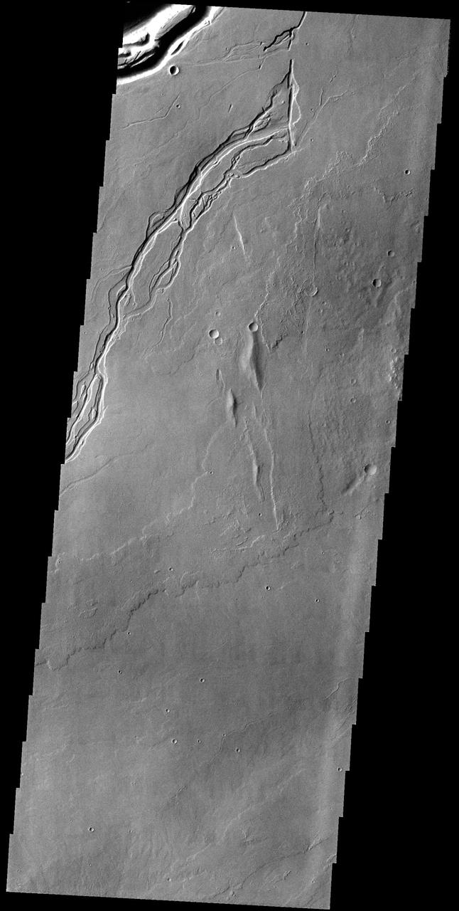 The channel at the very top of this image captured by NASA 2001 Mars Odyssey spacecraft is Olympica Fossae. That and the rest of the channels in this image are likely lava channels.