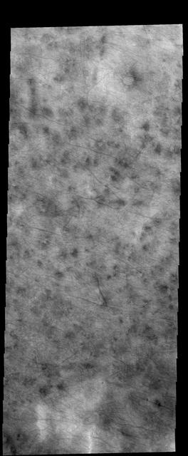 This image captured by NASA 2001 Mars Odyssey spacecraft is of the northern plains and shows hundreds of dust devil tracks.