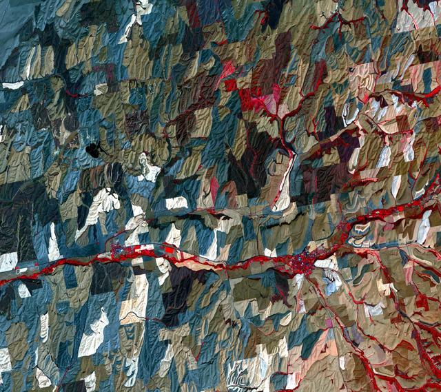 NASA image: Palouse, WA