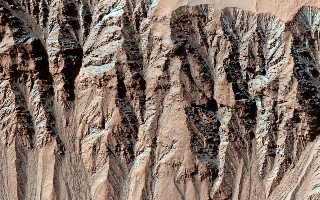 Activity in Martian Gully