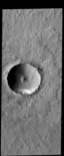 This image from NASA 2001 Mars Odyssey spacecraft shows Lonar Crater. This crater has undergone very little modification since it formed, and so is one of the younger features in this region.