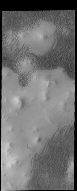 This image captured by NASA 2001 Mars Odyssey spacecraft shows part of the large dune field called Olympia Undae. There are hills in this region, and the dunes are concentrated in the lower elevations.