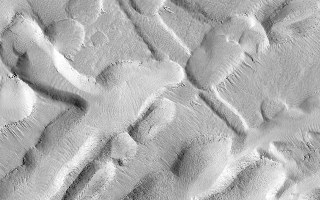 This observation from NASA Mars Reconnaissance Orbiter shows an incredible diversity of ancient lava tubes and impact craters filled with sediment on the flank of Arsia Mons.