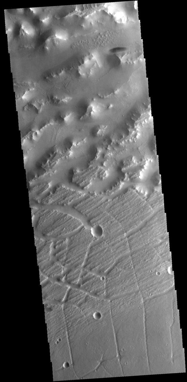 The hills and ridges at the top of this image captured by NASA 2001 Mars Odyssey spacecraft are part of Nilus Mensae, which is part of the complex Kasei Valles channels.