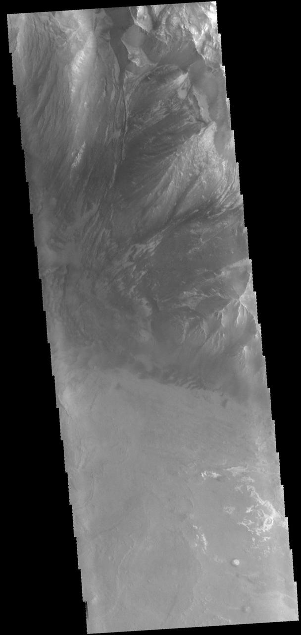 This image captured by NASA 2001 Mars Odyssey spacecraft shows part of Melas Chasma.