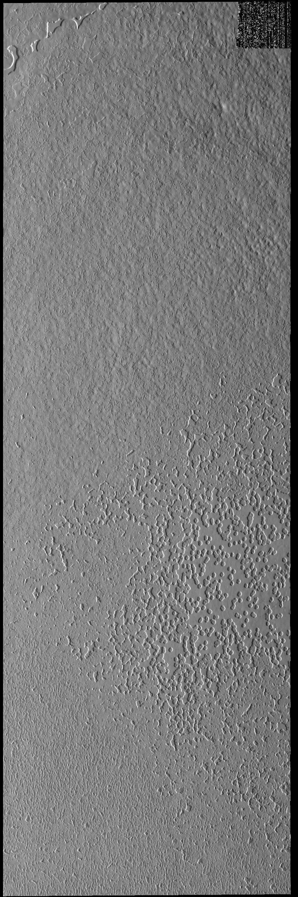 Polar Textures