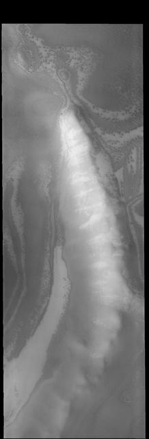 The ridge in this image captured by NASA 2001 Mars Odyssey spacecraft is the rim of a crater near the south polar cap.