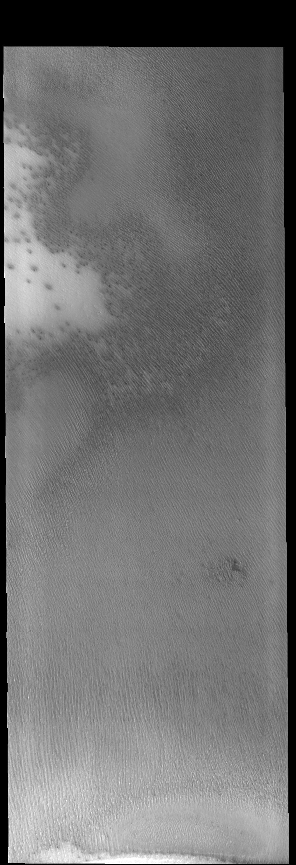 South Polar Textures