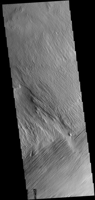 NASA image: Yardangs