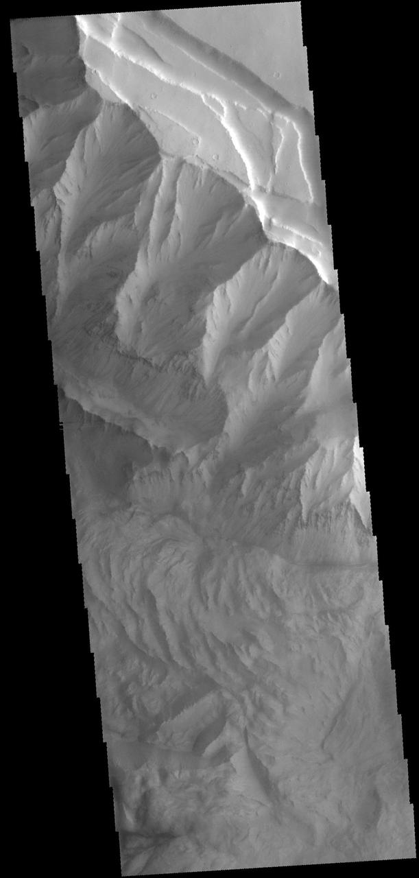 This image captured by NASA 2001 Mars Odyssey spacecraft shows a portion of the northern cliff face and complex floor deposits of Ophir Chasma.