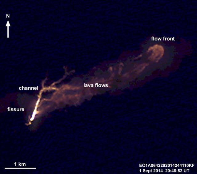 On the night of Sept. 1, 2014, NASA Earth Observing 1 EO-1 spacecraft observed the ongoing eruption at Holuhraun, Iceland. This false-color image that emphasizes the hottest areas of the vent and resulting lava flows.