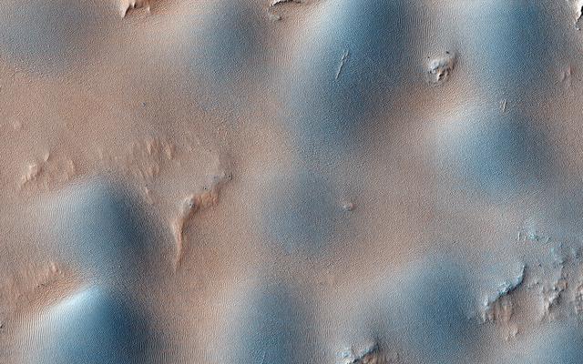 NASA image: Dome and Barchan Dunes in Newton Crater