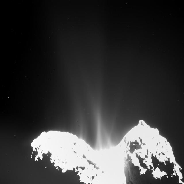 This image was taken by the Optical, Spectroscopic, and Infrared Remote Imaging System, Rosetta main onboard scientific imaging system, on Sept. 10, 2014. Jets of cometary activity can be seen along almost the entire body of the comet.  http://photojournal.jpl.nasa.gov/catalog/PIA18886