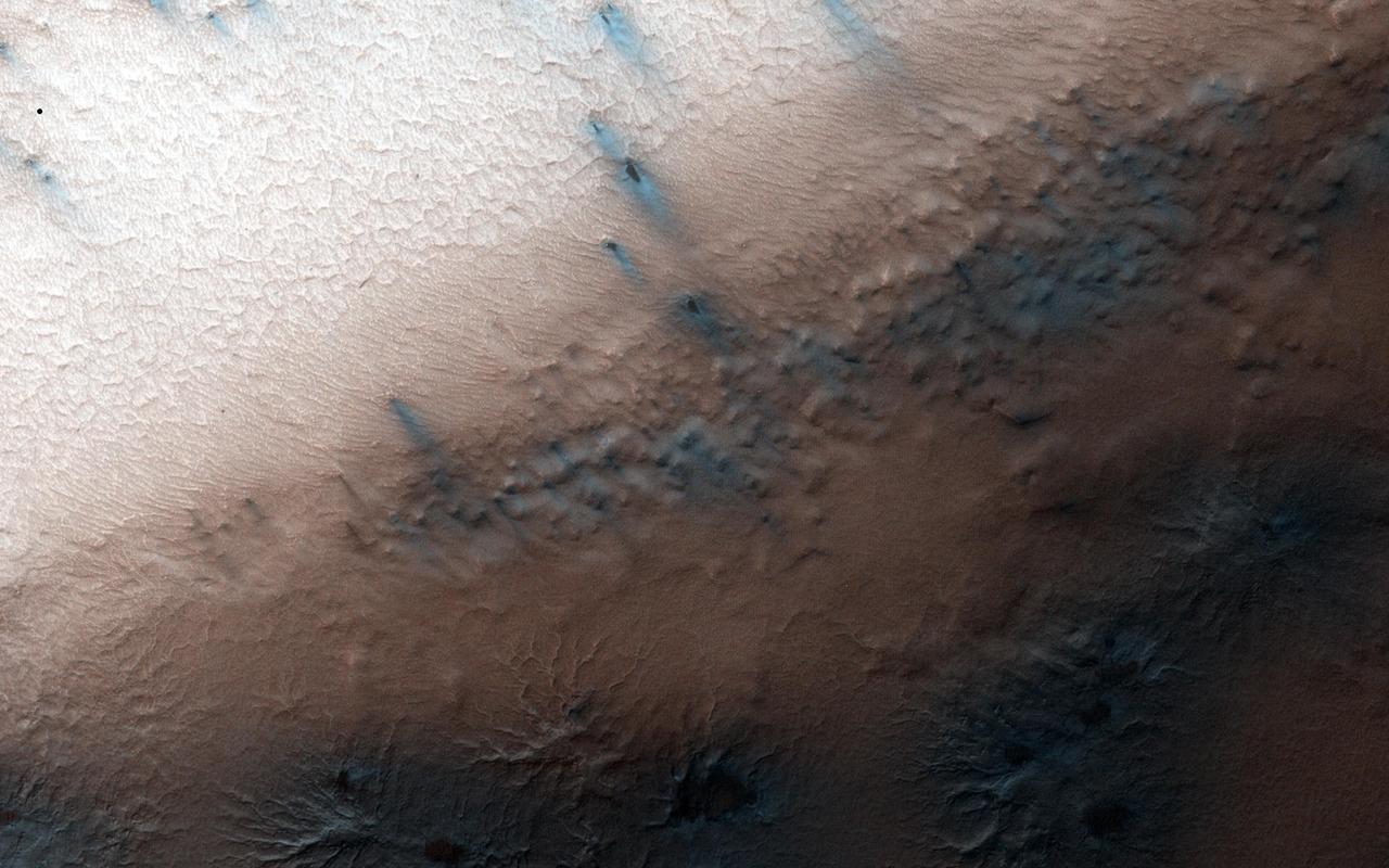 At certain times in spring, fans take on a gray or blue appearance. This is the time in Inca City when this phenomenon happens, as seen in this image acquired by NASA Mars Reconnaissance Orbiter.  On the ridge at the top of the image fans have lengthened and now look more gray than the blotches on the araneiforms. At the bottom of the image they are distinctly blue in color.  Two theories have been suggested: perhaps fine particles sink into the seasonal layer of ice so they no longer appear dark. Or, maybe the gas that is released from under the ice condenses and falls to the surface as a bright fresh layer of frost. It is quite likely that both of these theories are correct.  http://photojournal.jpl.nasa.gov/catalog/PIA18895