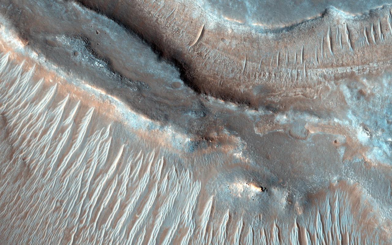 Transverse aeolian ridges TARs are commonly found throughout the Martian tropics, including rocky regions such as Syrtis Major that are largely devoid of dust as seen by NASA Mars Reconnaissance Orbiter.