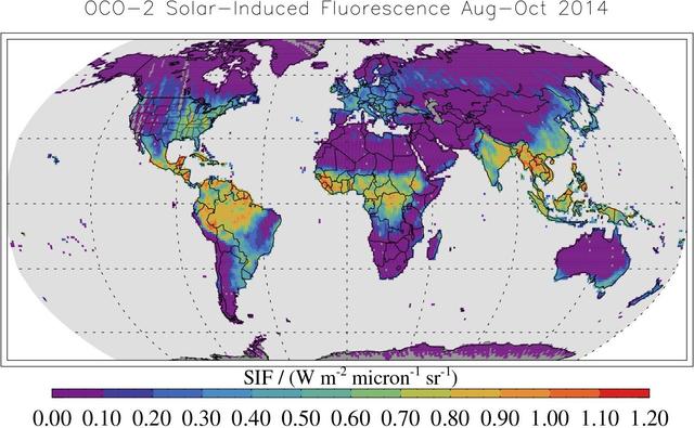 NASA image: Global Solar-Induced Fluorescence