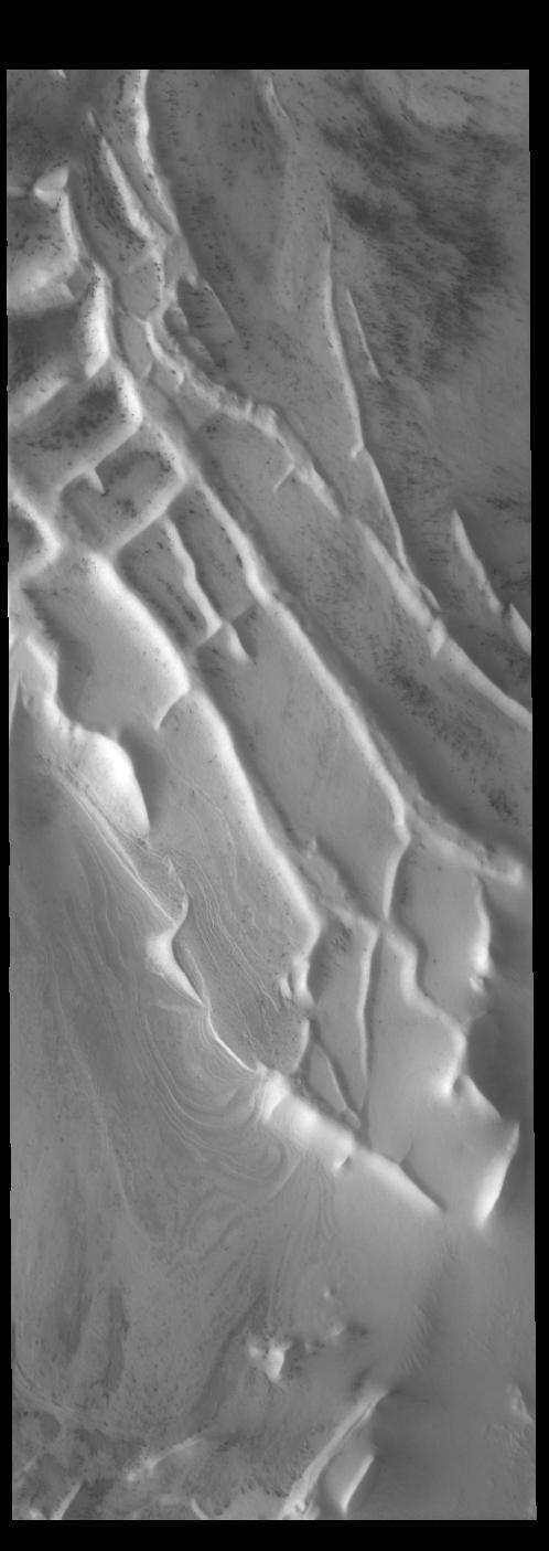 This image captured by NASA 2001 Mars Odyssey spacecraft shows another portion of Angustus Labyrinthus near the location of yesterday image.
