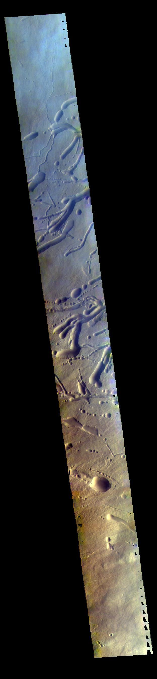 This image from NASA 2001 Mars Odyssey spacecraft is a false color image of part of the northern flank of Ascreaus Mons. The bluish section at the top of the image may indicate an atmospheric haze.