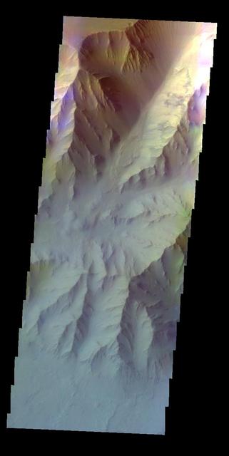 NASA image: Coprates Chasma - False Color
