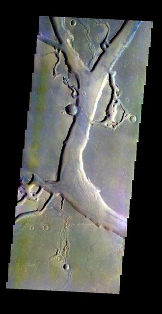 NASA image: Granicus Valles - False Color
