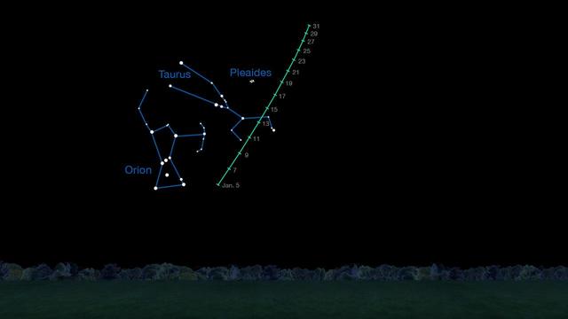 On clear nights in January 2015, comet C/2014 Q2 Lovejoy is visible in the Taurus region of the sky to observers using binoculars. This chart indicates where to look for it on different dates during the month.