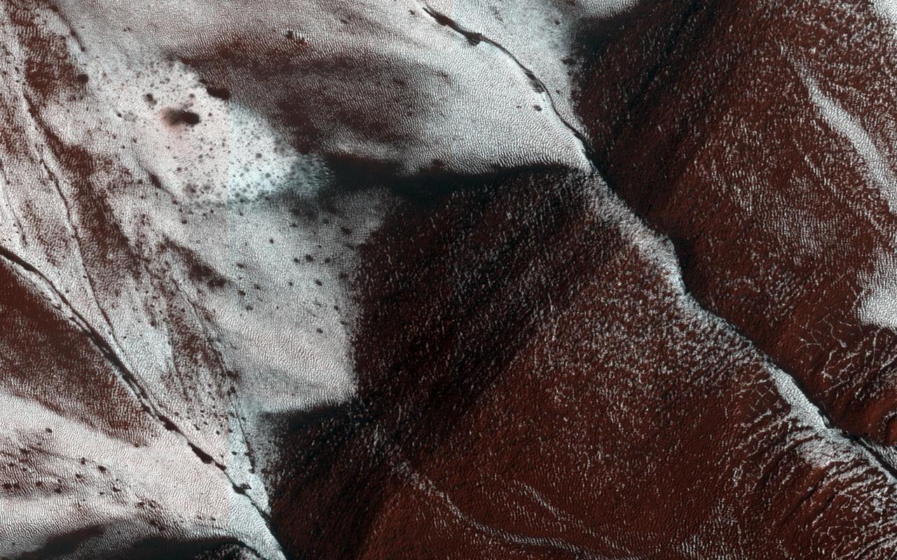 This image from NASA Mars Reconnaissance Orbiter shows frosted gullies on a south-facing slope within a crater. At this time of year only south-facing slopes retain the frost, while the north-facing slopes have melted.