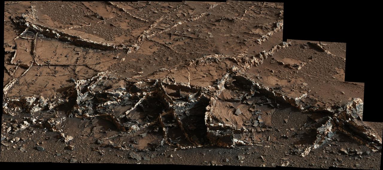 This March 18, 2015, view from the Mast Camera on NASA Curiosity Mars rover shows a network of two-tone mineral veins at an area called Garden City on lower Mount Sharp.