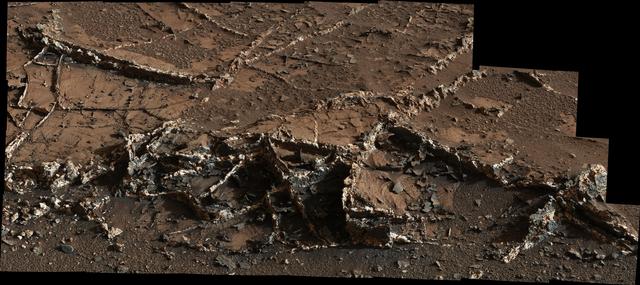 NASA image: Prominent Veins at Garden City on Mount Sharp, Mars
